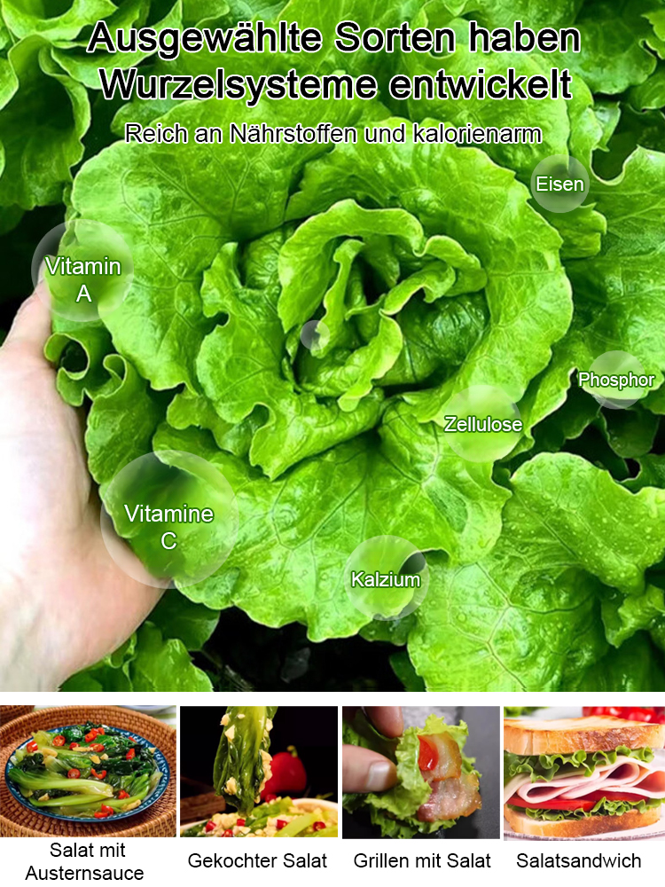 3 Tage zur Keimung, 3 Wochen bis zur Reife 🌱, dann muss man keinen Salat mehr im Supermarkt kaufen 🥗.