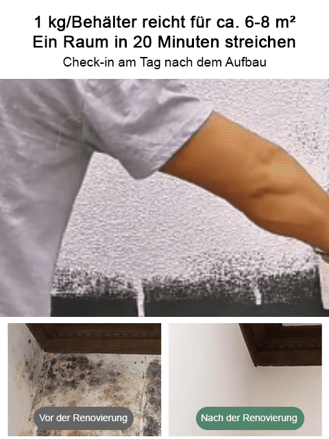 【Starke Rissreparatur】Formaldehyd-Entfernung, lärmmindernde und feuerhemmende Diatomeenschlamm-Wandf
