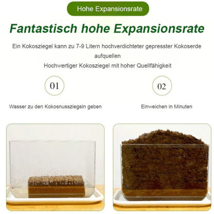 Grüner Pflanzennährboden[Organischer natürlicher Kokosnuss-Ziegel]