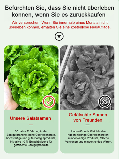 3 Tage zur Keimung, 3 Wochen bis zur Reife 🌱, dann muss man keinen Salat mehr im Supermarkt kaufen 🥗.