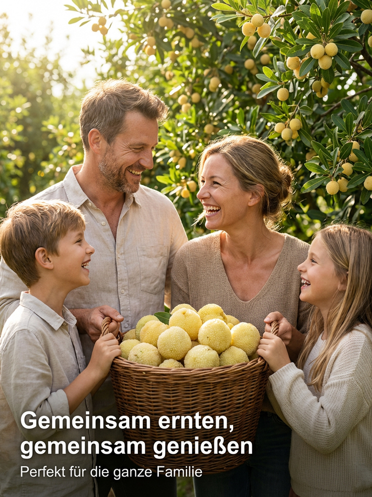 ✨ Weiße Kristall-Yumberry: Jetzt pflanzen + diesen Sommer riesige, zuckersüßeFrüchte ernten! ⚪🍓 Winterhart & perfekt für den Balkon!