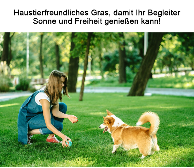 1_14.jpg