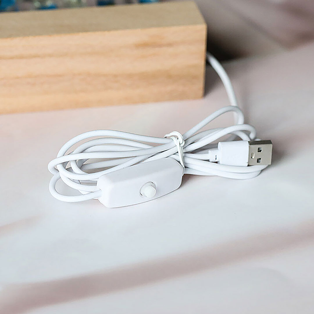 Personalized Dried Flowers Resin Letter Lamp-ancustom