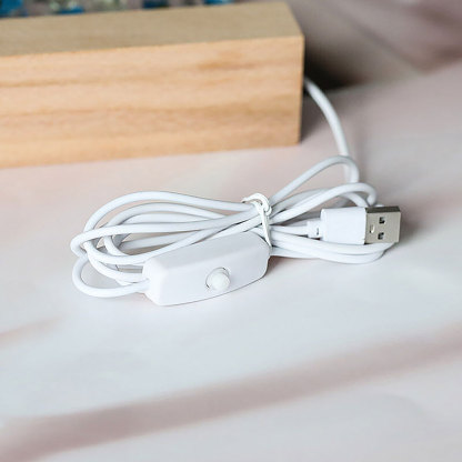 Personalized Dried Flowers Resin Letter Lamp-ancustom