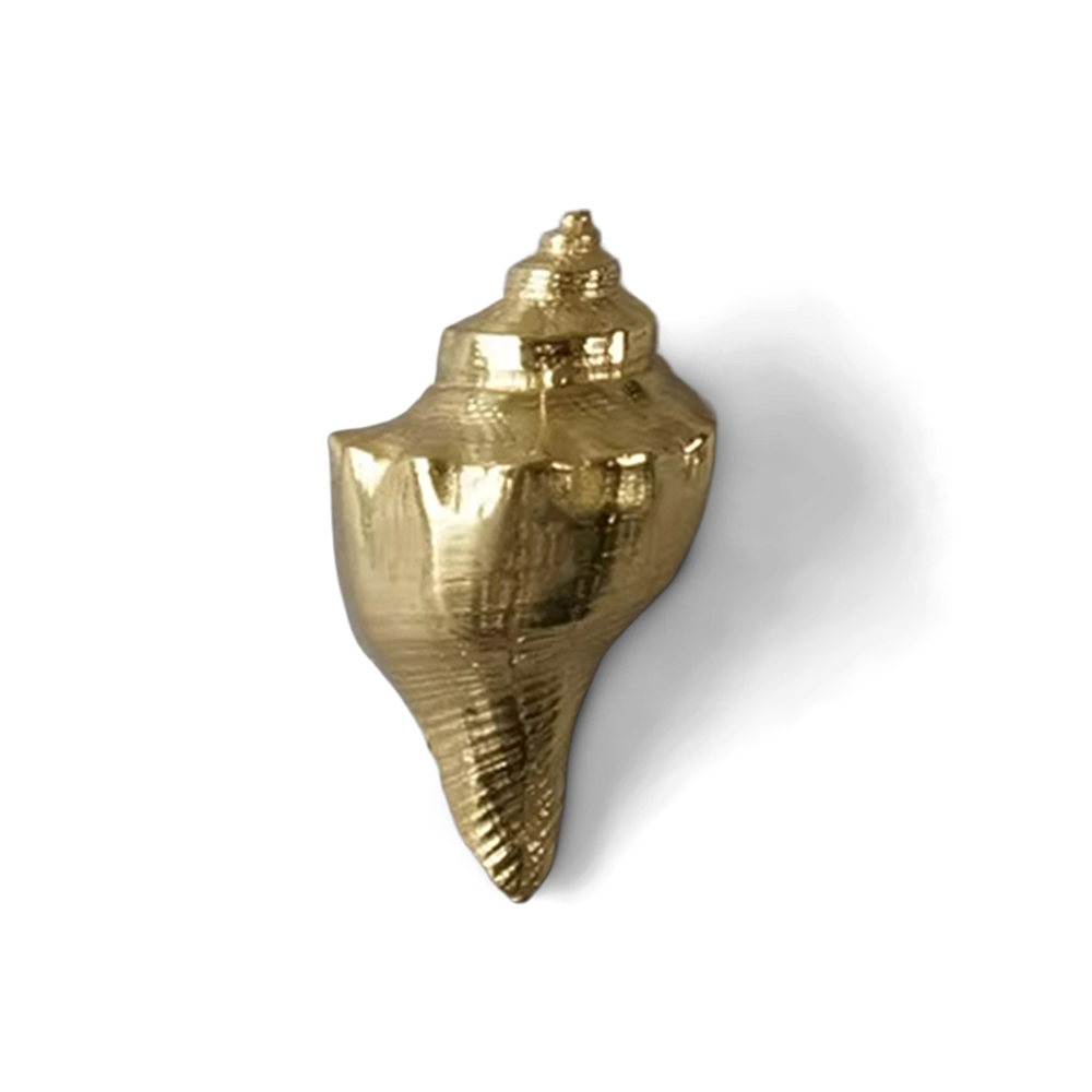 Conch Brass luxurious Cabinet Knobs