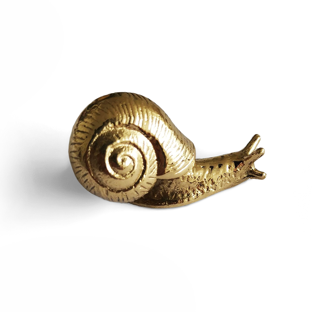 Solid Brass Snail Cabinets Drawers Knobs