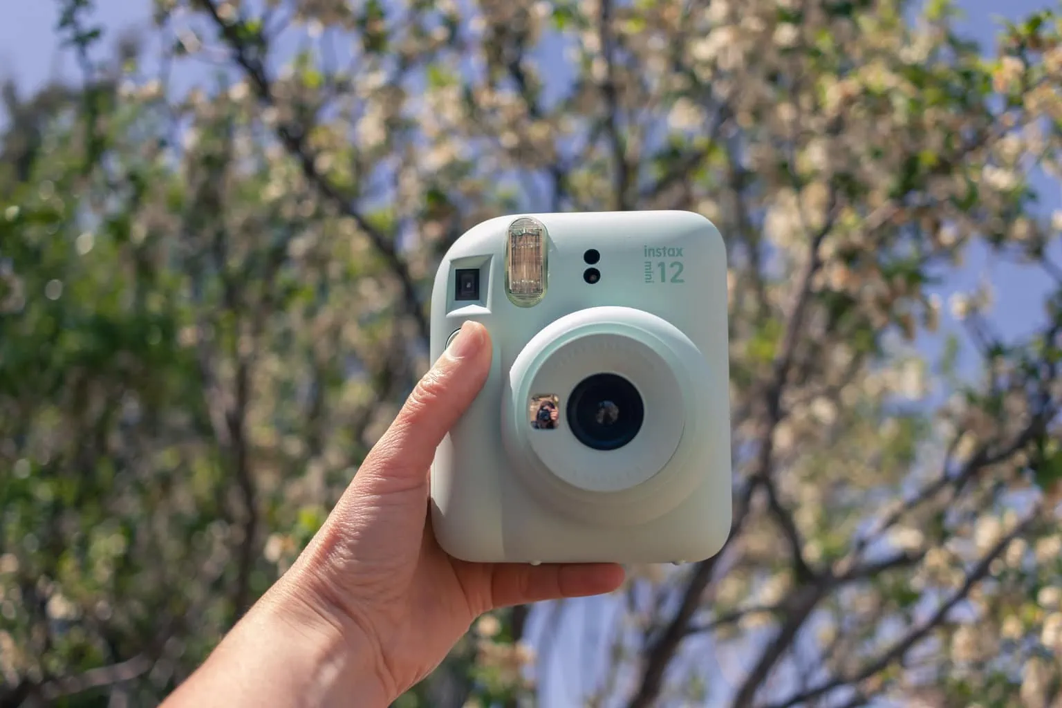 Instax Mini 12: Mi Opinión Tras Probarla | Blog del Fotógrafo