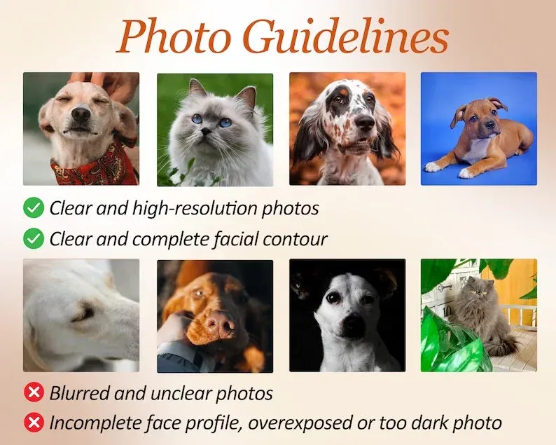 Sudadera Con Capucha Para Perro Personalizada Con Sudadera Bordada Personalizada Con Cara De Mascota