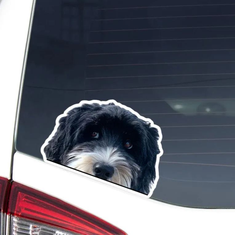 Calcomanía Para Coche Con Gato Asomando Por La Ventanilla / Vinilo Impermeable Para Parachoques De Portátil / Regalo Para Amantes De Los Gatos / Exterior E Interior