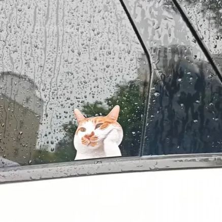 Calcomanía Para Coche Con Gato Asomando Por La Ventanilla / Vinilo Impermeable Para Parachoques De Portátil / Regalo Para Amantes De Los Gatos / Exterior E Interior
