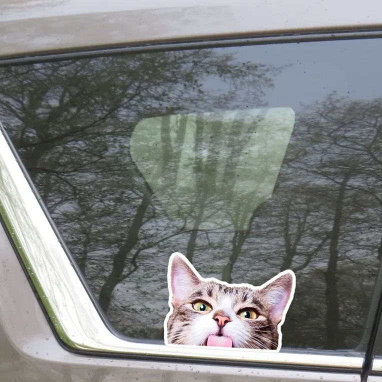 Calcomanía Para Coche Con Gato Asomando Por La Ventanilla / Vinilo Impermeable Para Parachoques De Portátil / Regalo Para Amantes De Los Gatos / Exterior E Interior