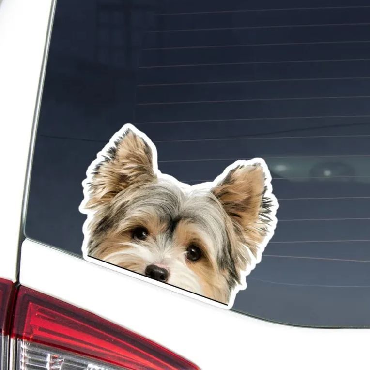 Calcomanía Para Coche Con Gato Asomando Por La Ventanilla / Vinilo Impermeable Para Parachoques De Portátil / Regalo Para Amantes De Los Gatos / Exterior E Interior