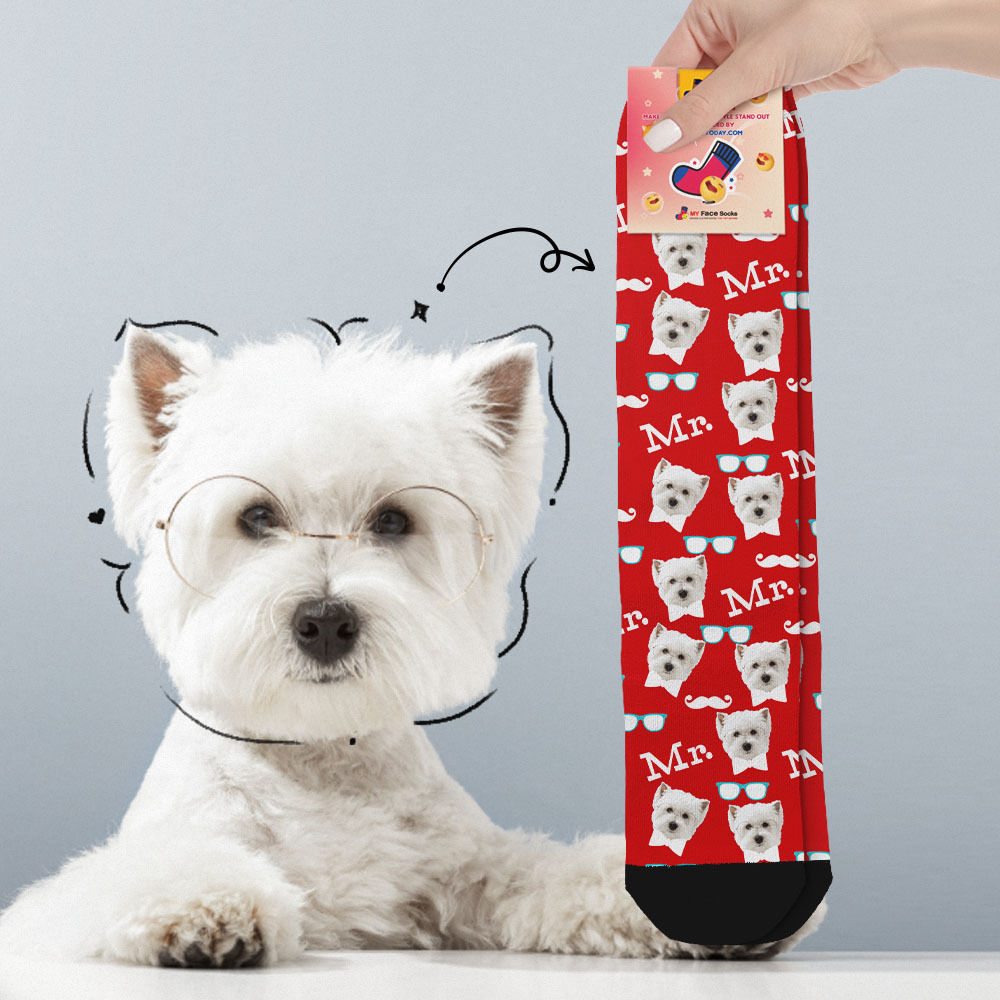 Calcetines De Cara Completa Personalizados Mr Cute Socks Foto Personalizada Diseño Personalizado La Mejor Idea De Regalo - MyFaceSocksES