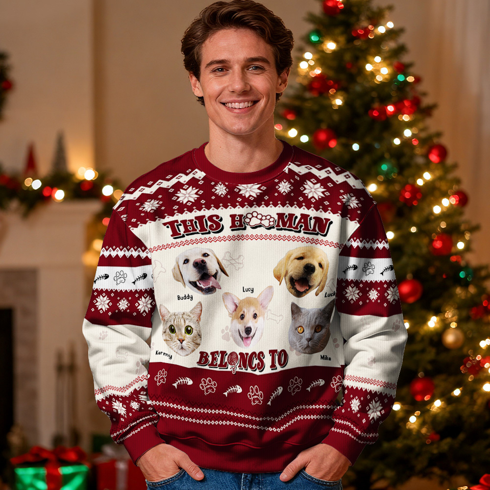 Sweat À Capuche Personnalisé Avec Photo Personnalisée, Col Rond, Cadeau De Noël Pour La Famille, Joli Pull Avec Visage D'animal De Compagnie, Led De Noël, Unisexe - MyFaceSocksFR