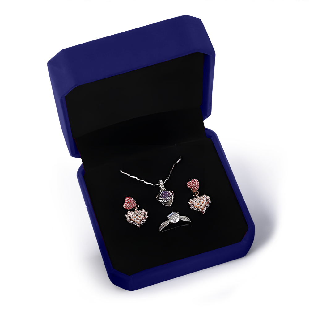 Coffret Cadeaux (9x9x4cm) Rouge - MyFaceSocksFR