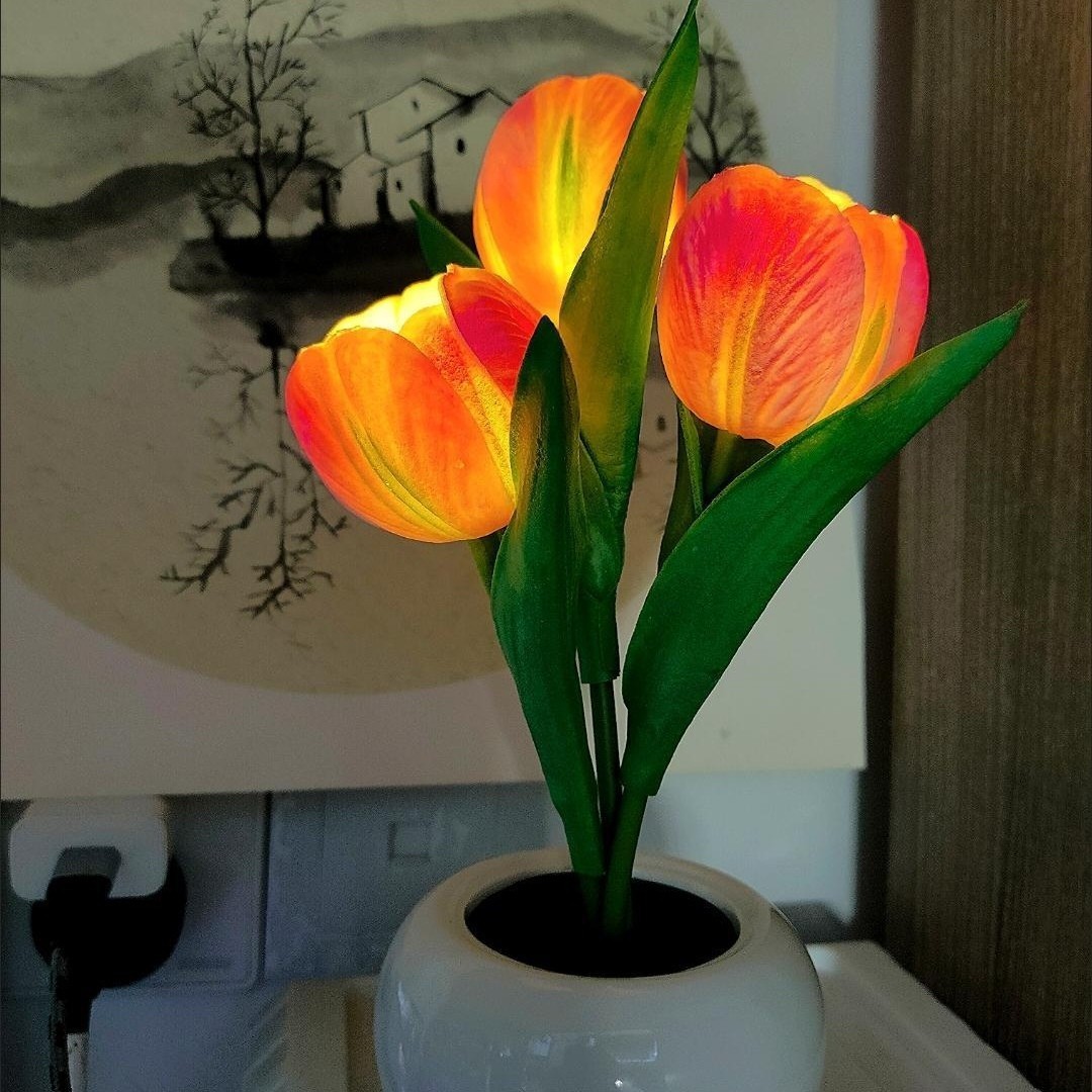 Veilleuse Led Tulipe À Intensité Variable, Lampe Romantique À Brancher, Fleur Artificielle, Cadeau Idéal Pour La Fête Des Mères - MyFaceSocksFR
