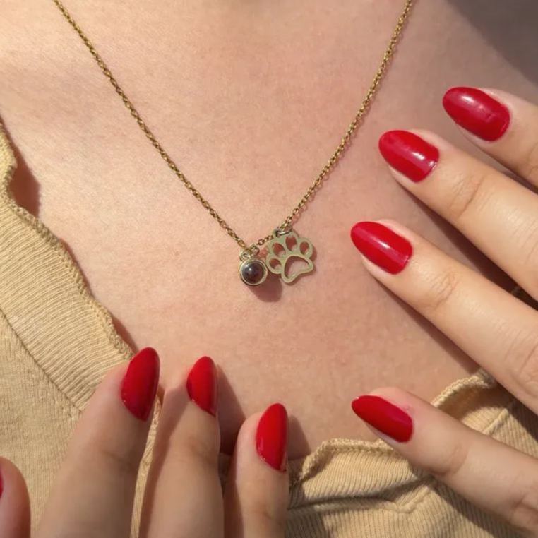 Collier Pour Animaux De Compagnie Avec Projection Photo - MyFaceSocksFR