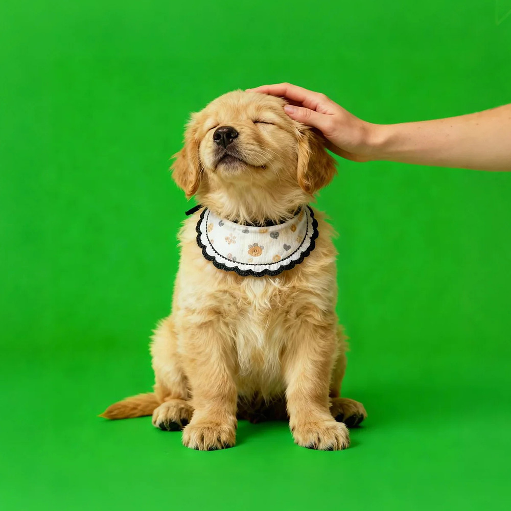 Holographic Digital Sences For Pet Holographic Digital House(Only Digital Sences Video by E-mail; Pet House Need to be purchased separately) - MyFaceSocksUK