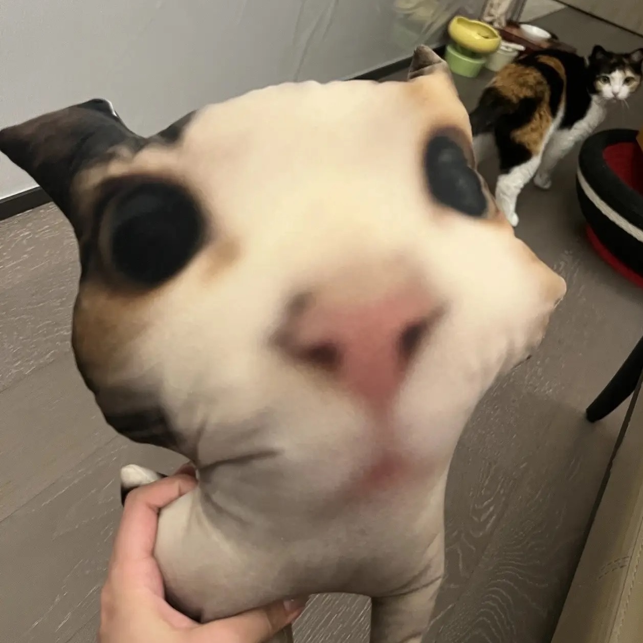 Custom Animal Photo 3D Pillow Pet Portrait Throw Pillow Ugly Pet Pillow - MyPhotoBoxerUk