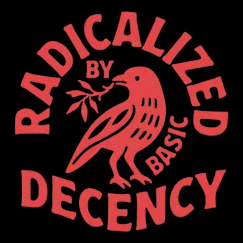 Radicalized By Basic Decency Geek T-Shirt - MyFaceSocks