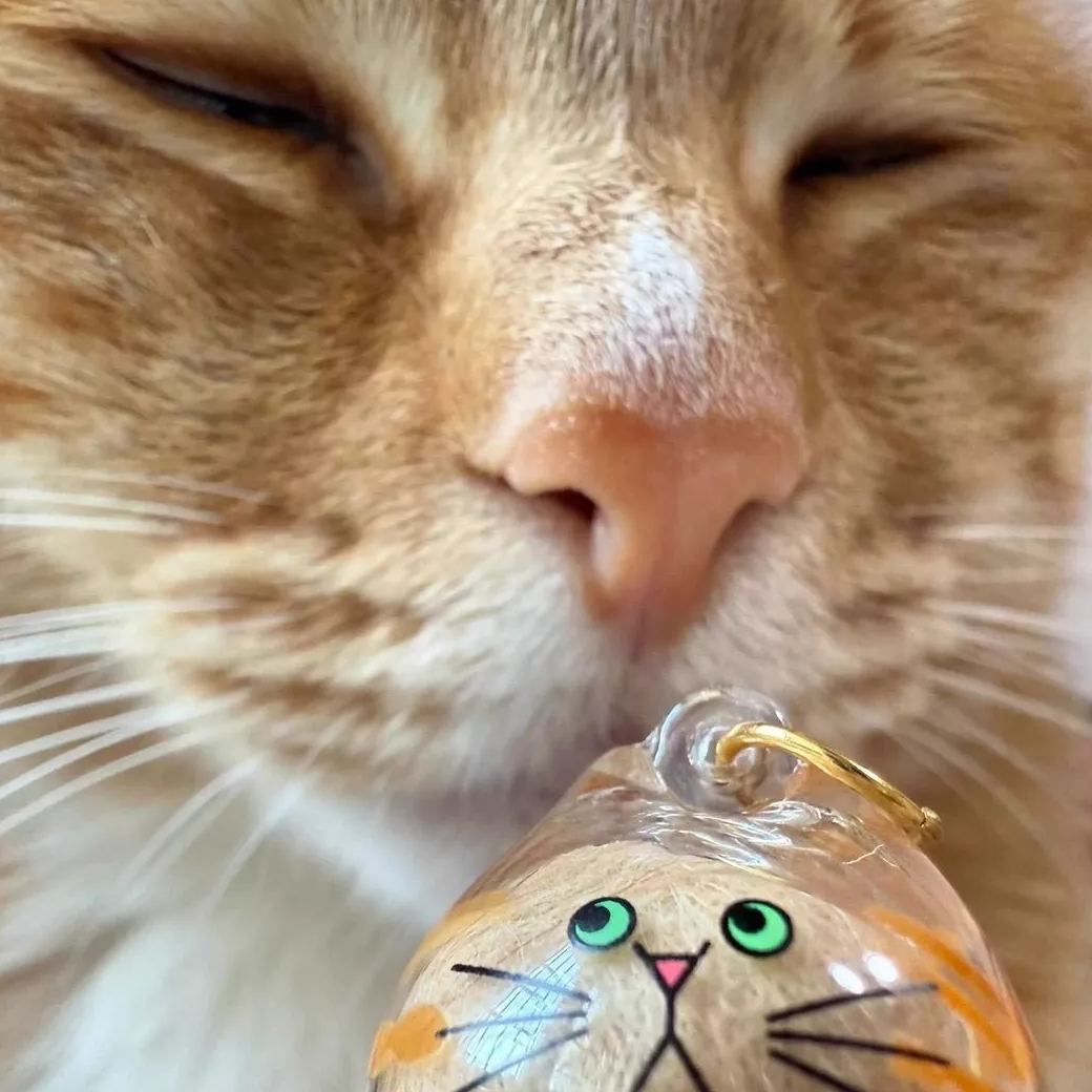 Transparent Cat Fur Capsule Keychain – Acrylic Gashapon Memory Holder Charm