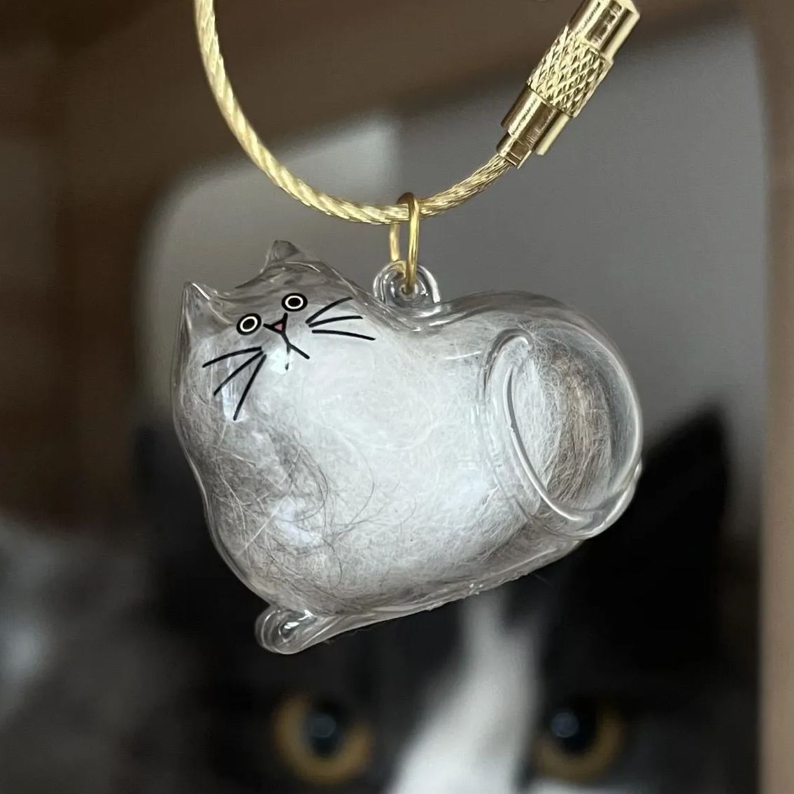 Transparent Cat Fur Capsule Keychain – Acrylic Gashapon Memory Holder Charm