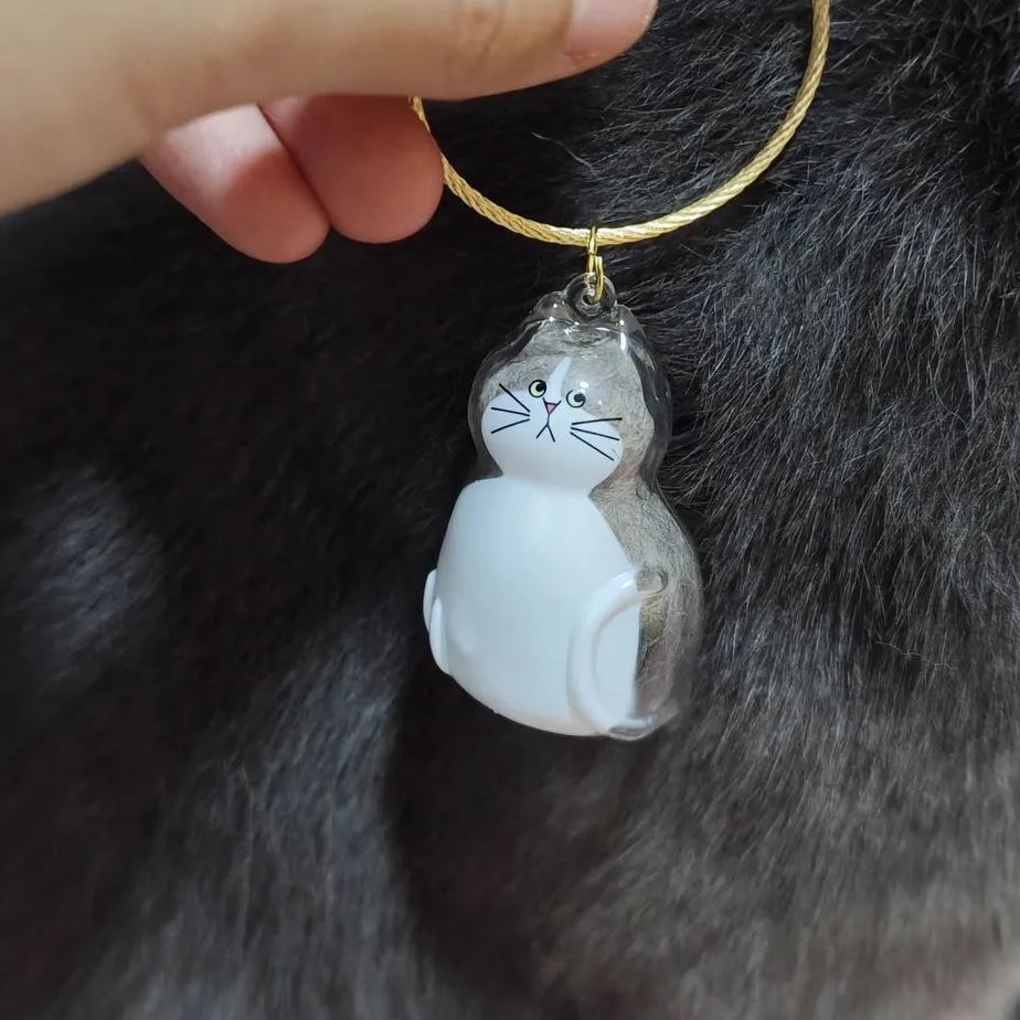 Transparent Cat Fur Capsule Keychain – Acrylic Gashapon Memory Holder Charm