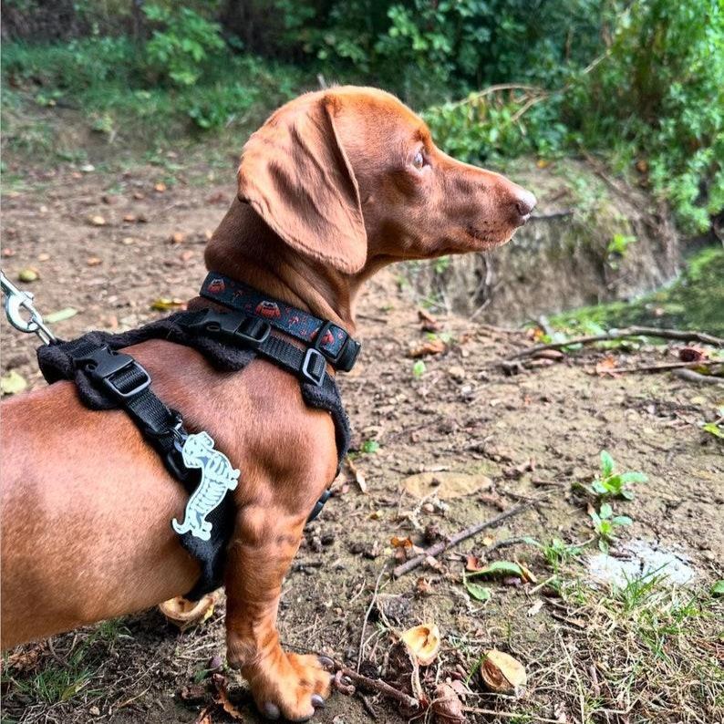 Personalized Skeledog ID Tag: 3D Printed Halloween Dog Breed Keychain - MyFaceSocks