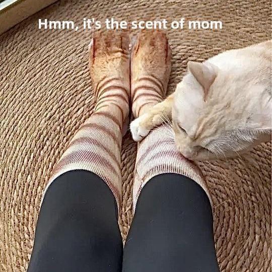 Realistic Animal Paw Print Socks – Lifelike Cat & Dog Claw Effect Novelty Fun Christmas Gift Socks for Pets Lover Kids - MyFaceSocks