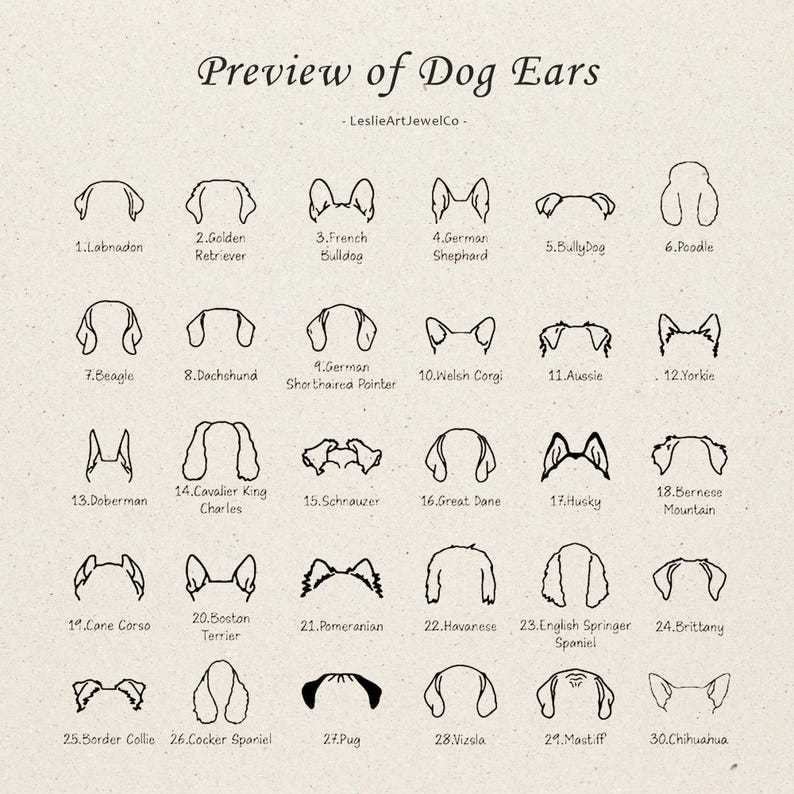 Personalized Dog Ear Projection Necklace, Custom Picture Inside Jewelry, Pet Ear Picture Jewelry, Memorial Necklace, Christmas Gifts for Mom - MyFaceSocks