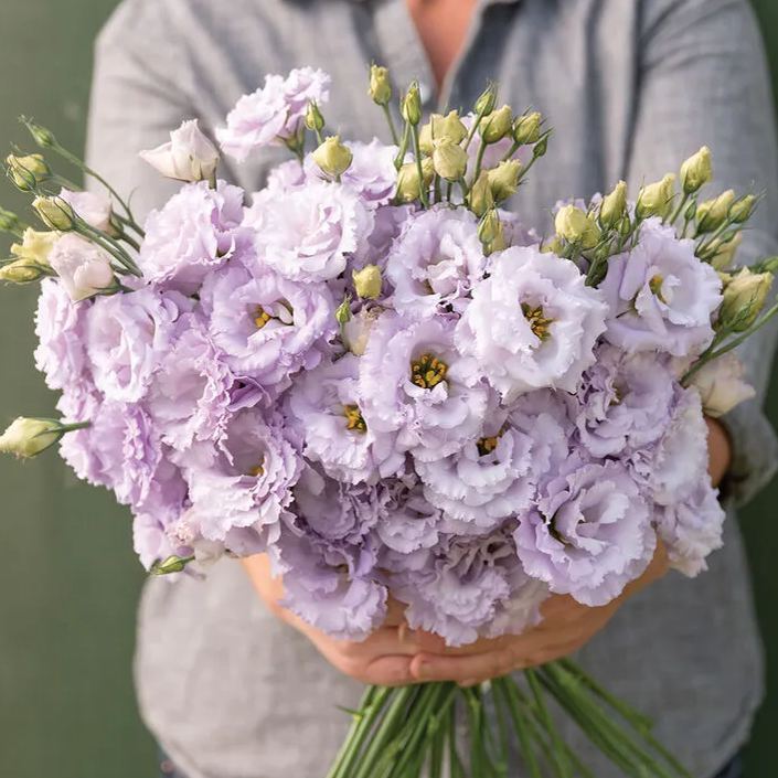 💜New for Spring🥰Purple Lisianthus Seedsfridayw