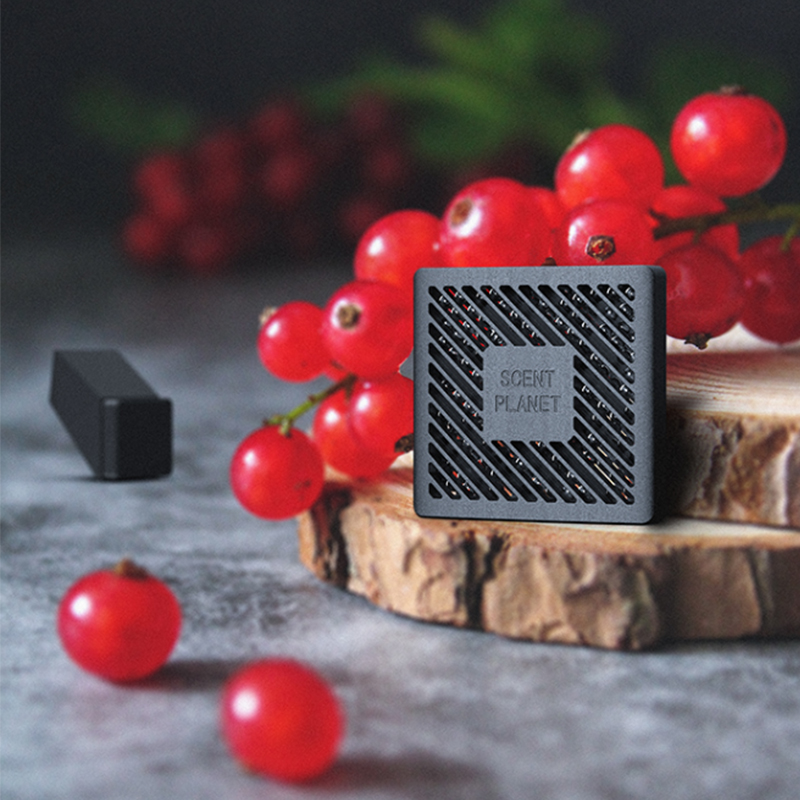 TaddonCar Air Freshener for Tesla Model 3/Y