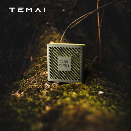 TaddonCar Air Freshener for Tesla Model 3/Y