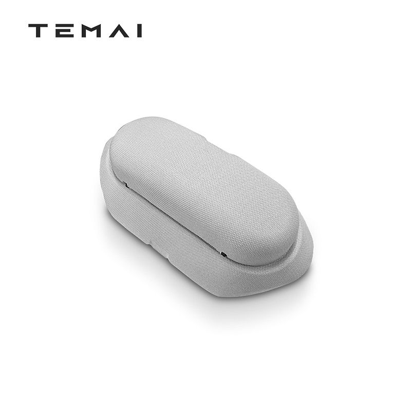 TaddonSunglasses Storage Case for Tesla Model 3/Y