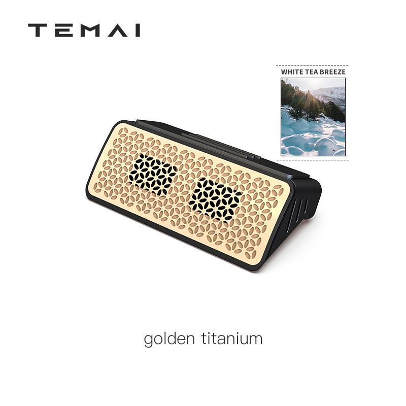 TaddonCar Aromatherapy Perfume for Tesla Model 3/Y