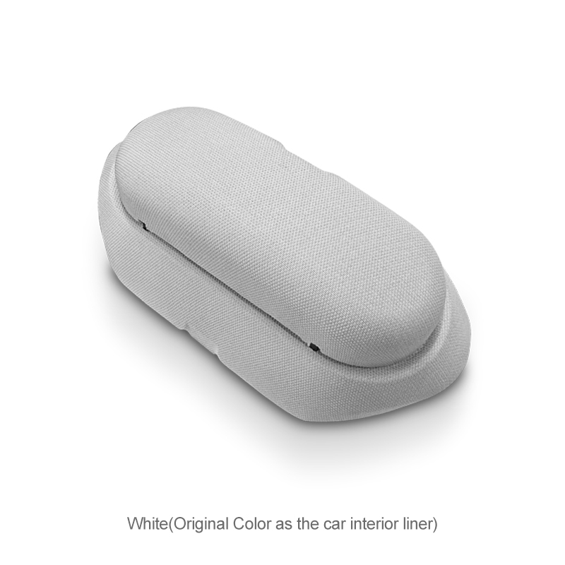 TaddonSunglasses Storage Case for Tesla Model 3/Y