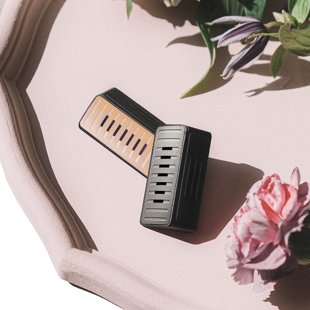 TaddonCar Aromatherapy Perfume for Tesla Model 3/Y