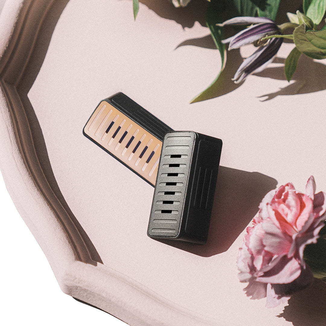 TaddonCar Aromatherapy Perfume for Tesla Model 3/Y