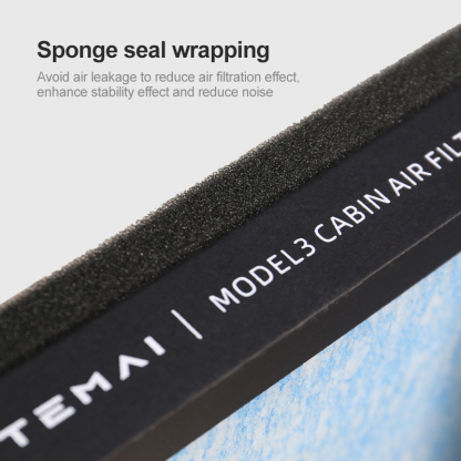 TaddonHEPA Carbon Air Filter for Tesla Model 3/Y (2 Pack)