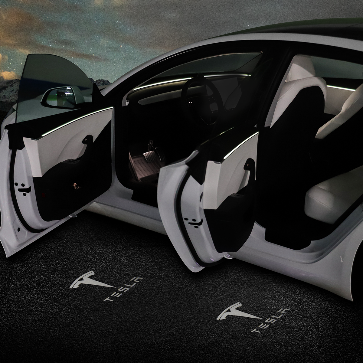 TaddonWelcome Door Light for Tesla Model 3 & Y
