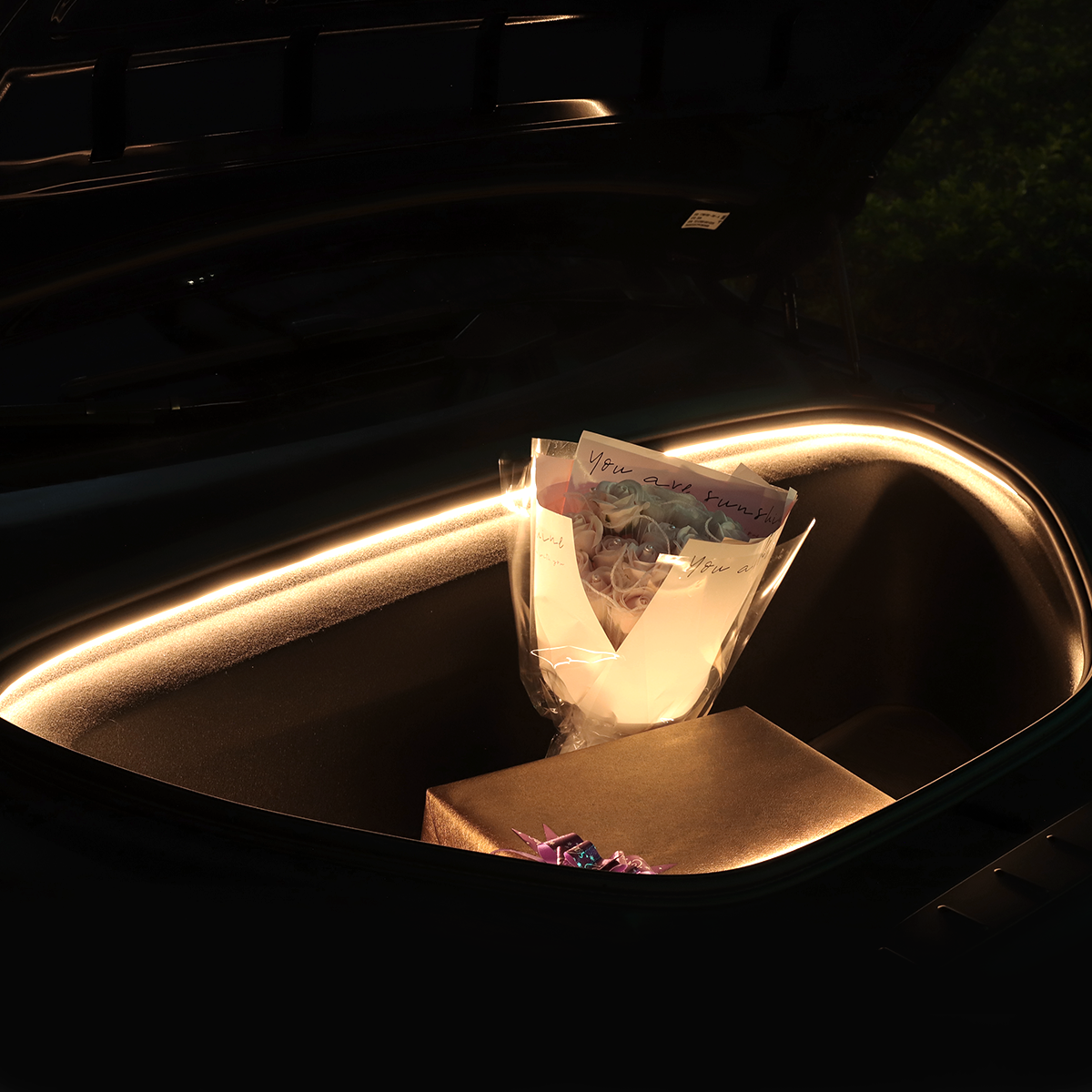 TaddonFrunk LED Strip for Tesla Model X