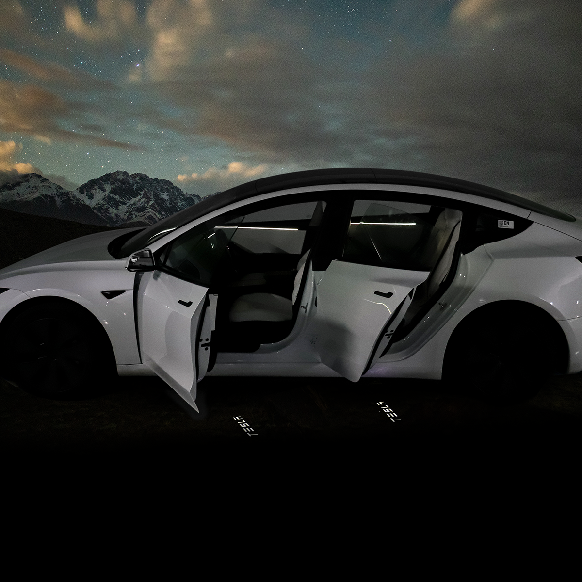 TaddonWelcome Door Light for Tesla Model 3 & Y