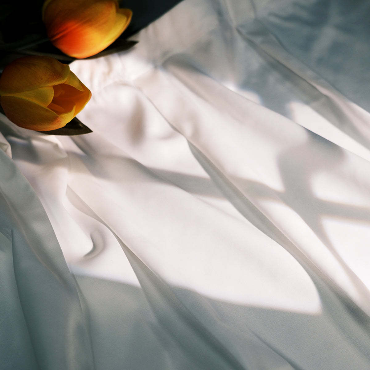 TaddonSide Window Sunshade Curtain for Tesla Model 3 & Model Y