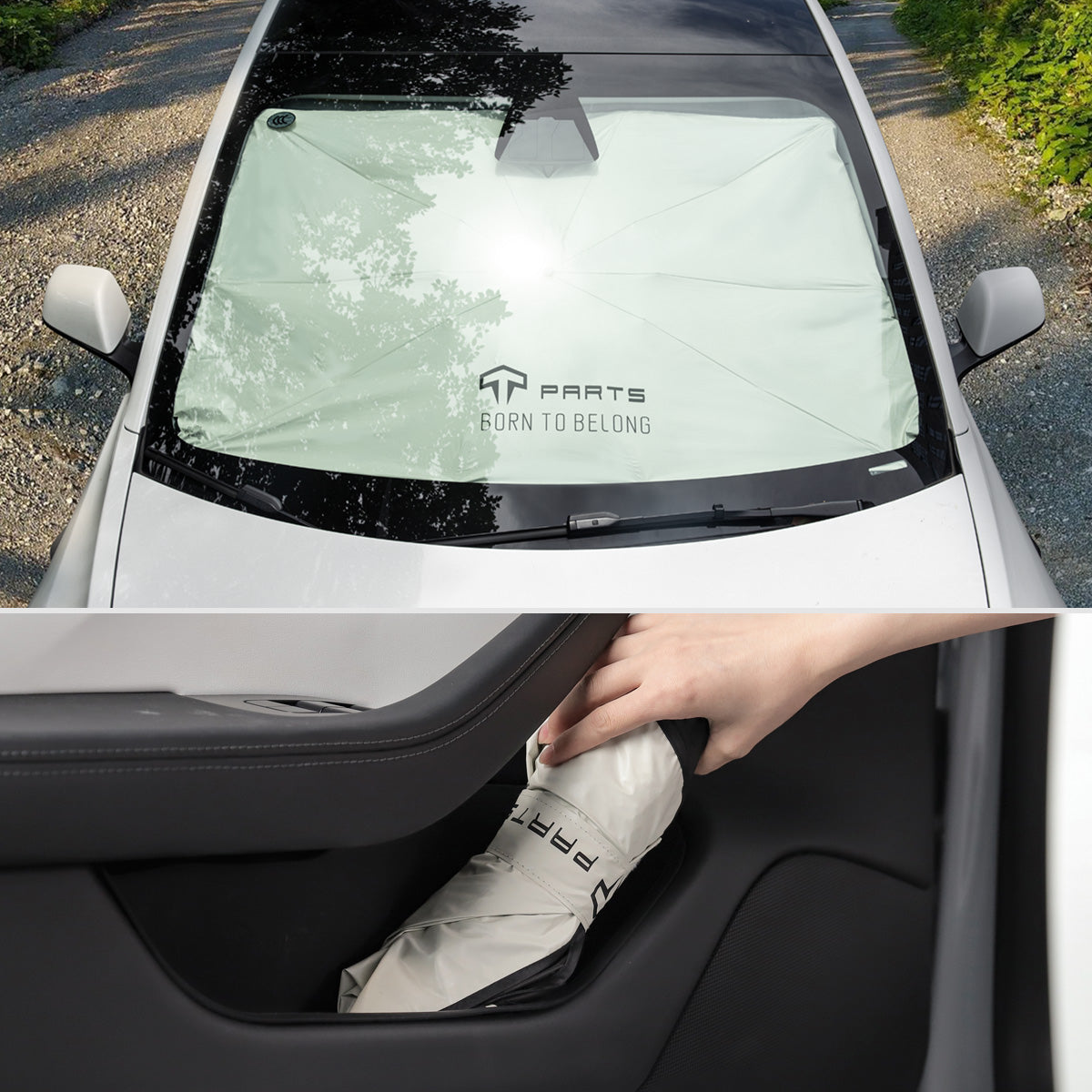 TaddonWindshield Sunshade Umbrella