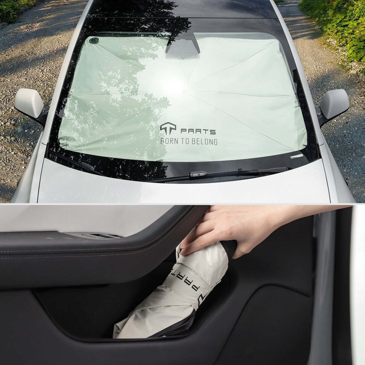 TaddonWindshield Sunshade Umbrella