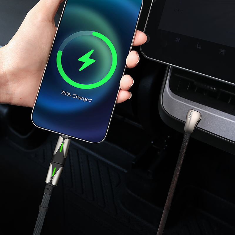 TaddonModel 3/Y Charging Cable – Android Type-C & Apple Fast Charging