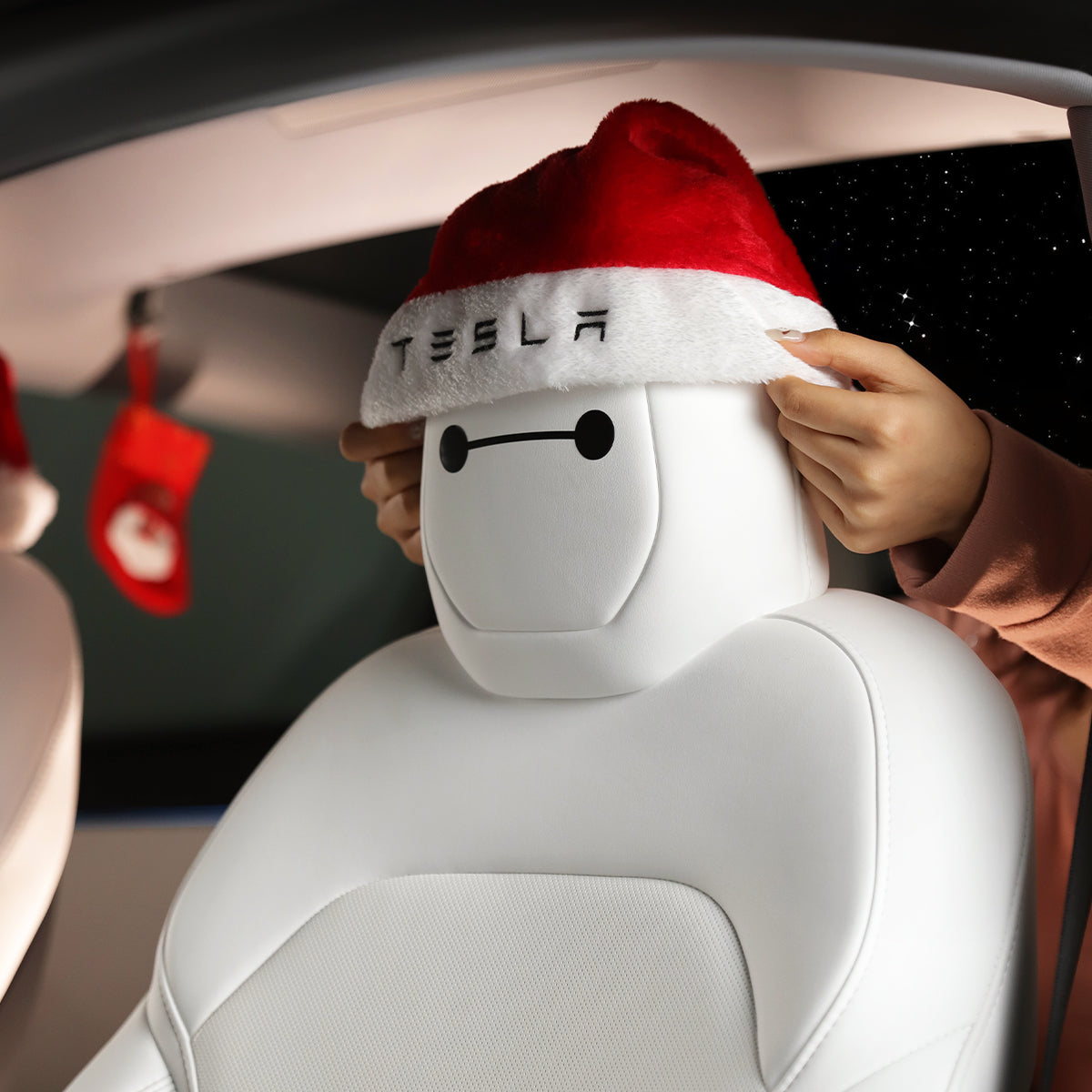 TaddonChristmas Decor Kit For Tesla
