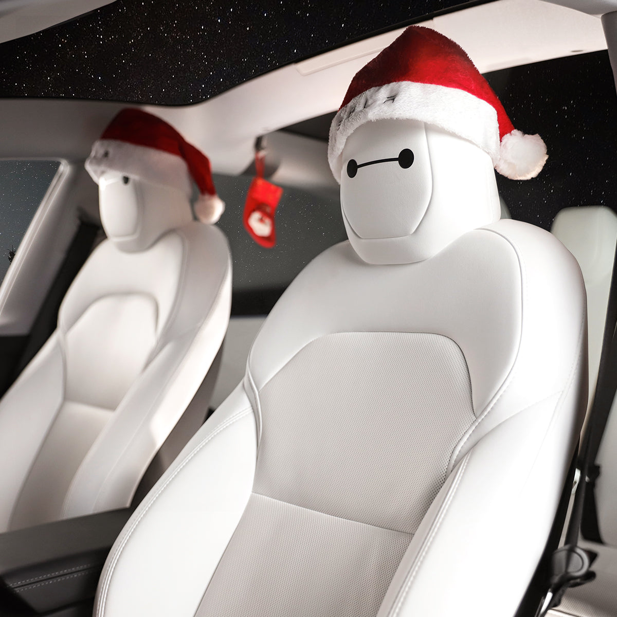 TaddonChristmas Decor Kit For Tesla