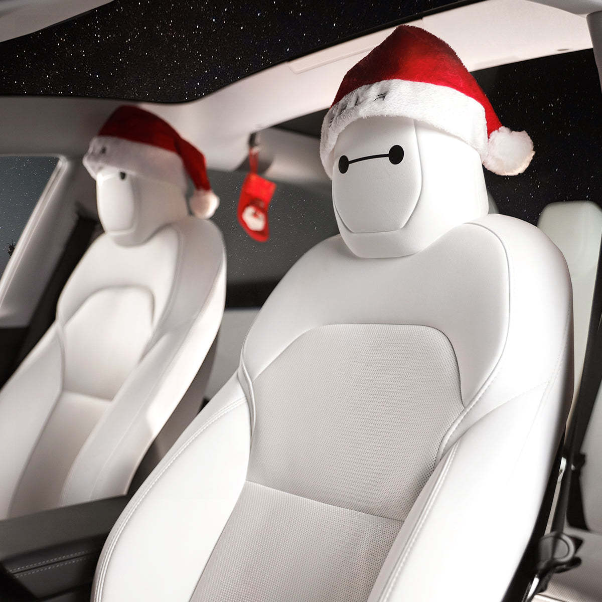 TaddonChristmas Decor Kit For Tesla