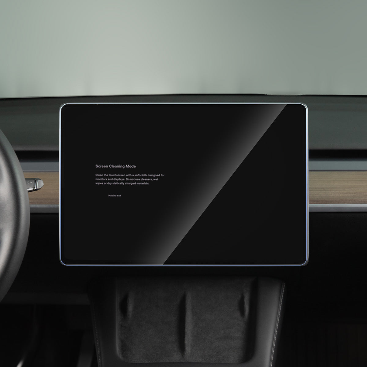 TaddonTempered Glass Screen Protector for Model 3 & Y
